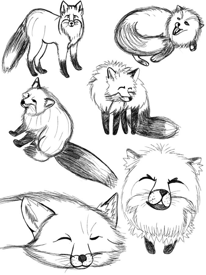 Fox Sketches