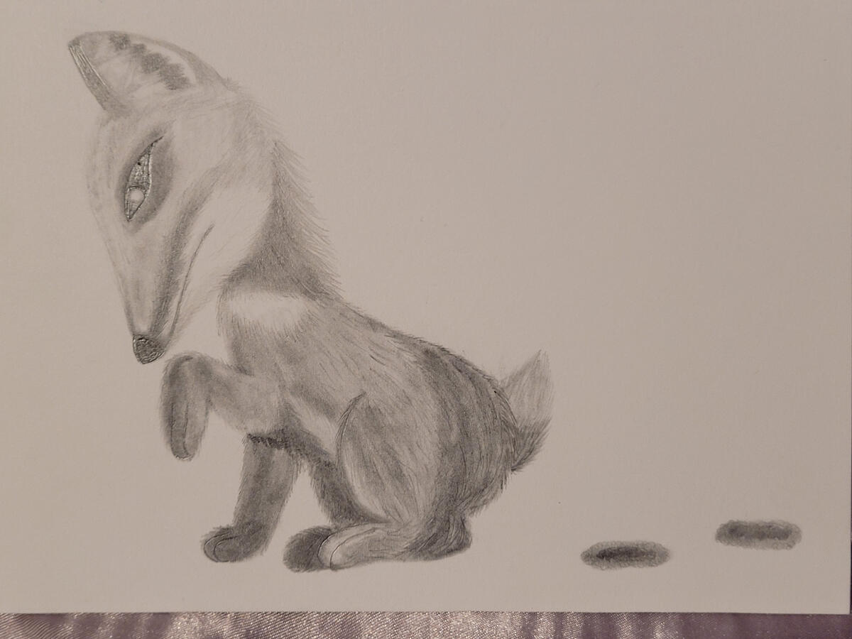 Illustrated Card 4