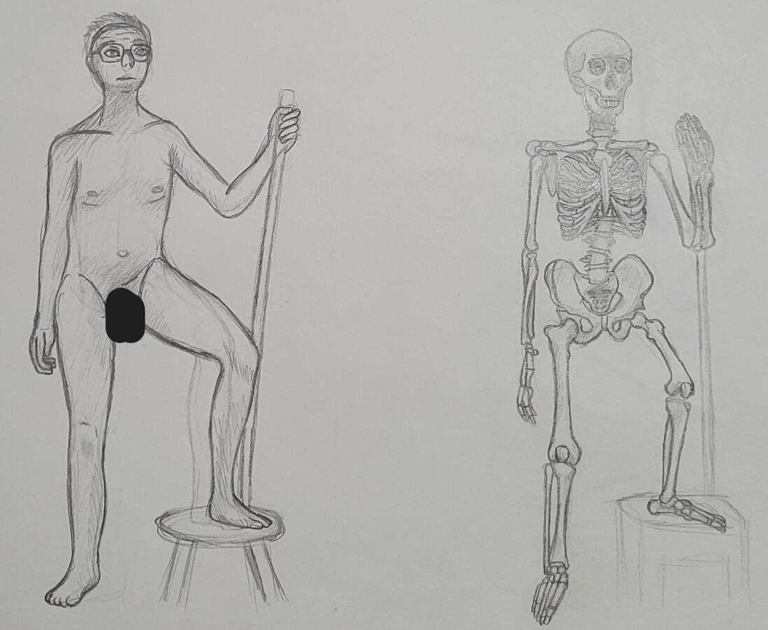 Skeletal Figure Study